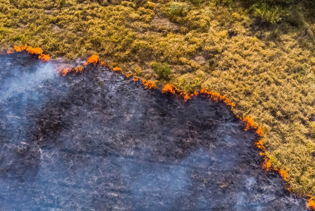 Aerial photo of a wildfire burning a forest